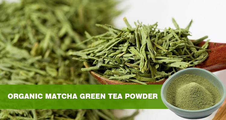 有机抹茶粉改善血管内皮功能 | 陕西恒植源